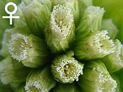 f:id:saoriktan:20191202162104j:plain