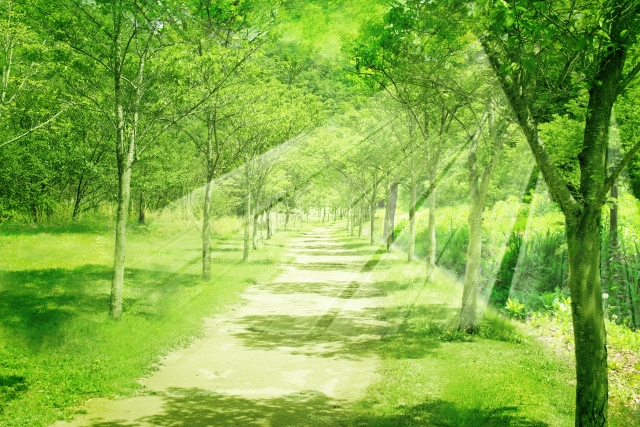 f:id:saoriktan:20191219155018j:plain f:id:saoriktan:20191219155018j:plain