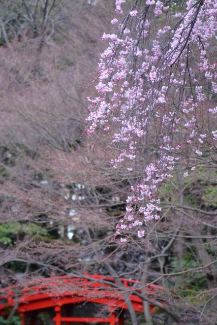 f:id:saoriktan:20191219160316j:plain f:id:saoriktan:20191219160316j:plain