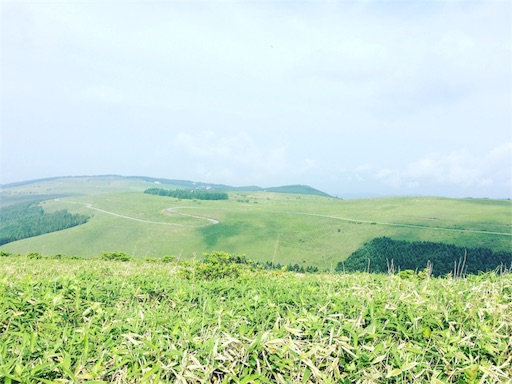 f:id:saorin_fotori:20170710161354j:image f:id:saorin_fotori:20170710161354j:image