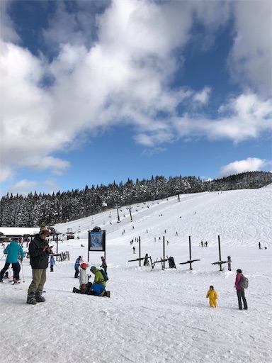 f:id:saorin_fotori:20190101075745j:image f:id:saorin_fotori:20190101075745j:image