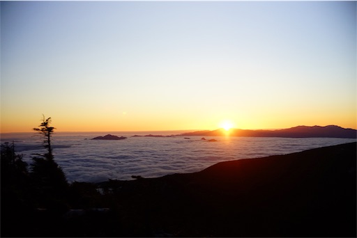 f:id:saorin_fotori:20190115085238j:image f:id:saorin_fotori:20190115085238j:image