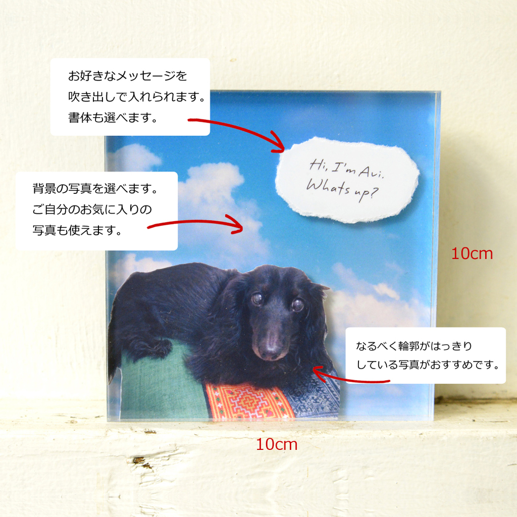f:id:saorin_fotori:20190308144021j:plain f:id:saorin_fotori:20190308144021j:plain