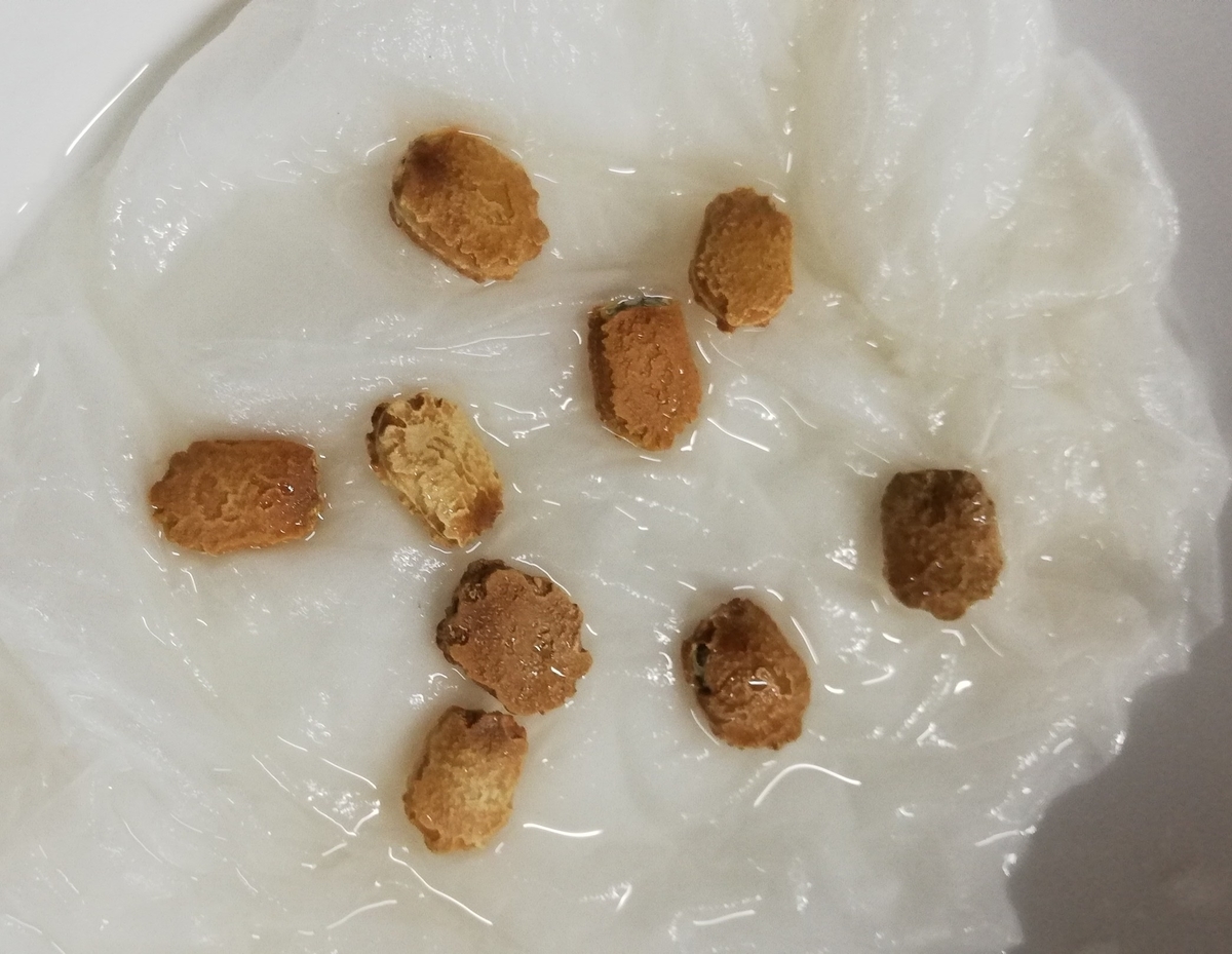 f:id:saoris_blog:20200410231305j:plain f:id:saoris_blog:20200410231305j:plain