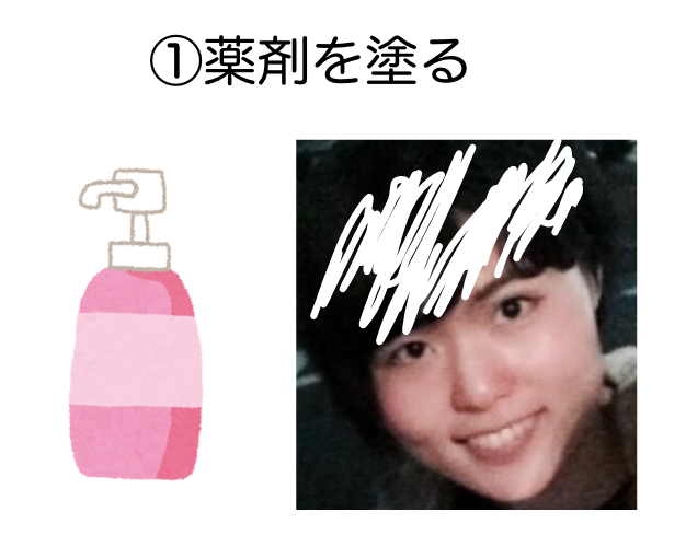 f:id:saorishinoda1214:20171219013423p:plain f:id:saorishinoda1214:20171219013423p:plain