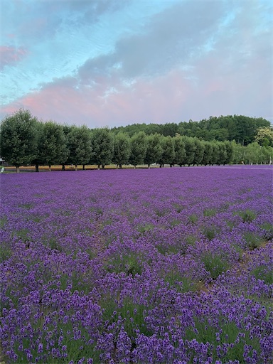 f:id:saosaorinrin:20200724081803j:image f:id:saosaorinrin:20200724081803j:image