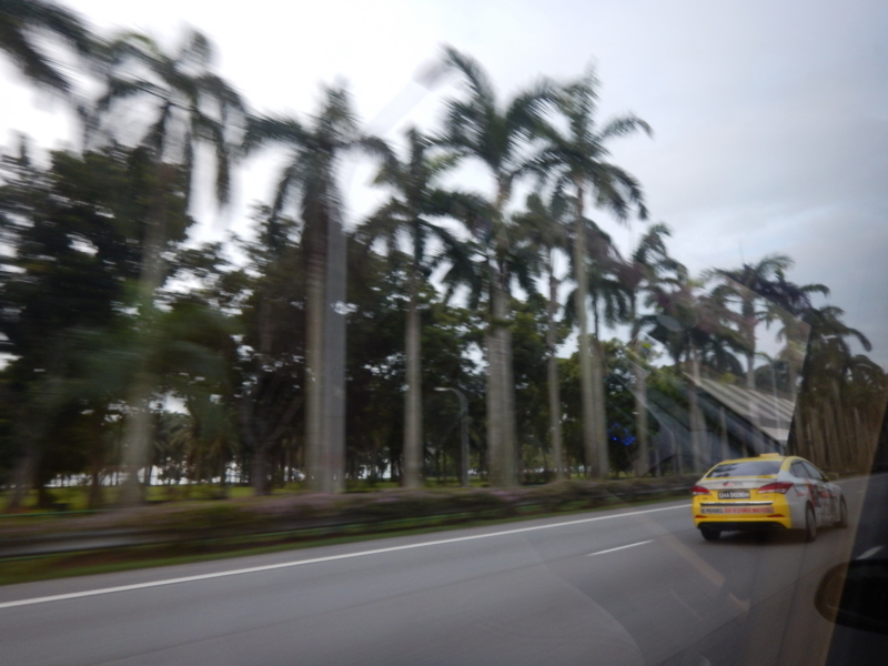 f:id:saotrip:20180125114741j:plain f:id:saotrip:20180125114741j:plain