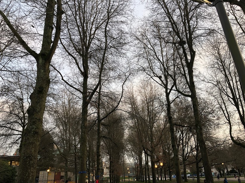 f:id:saotrip:20180228215532j:plain