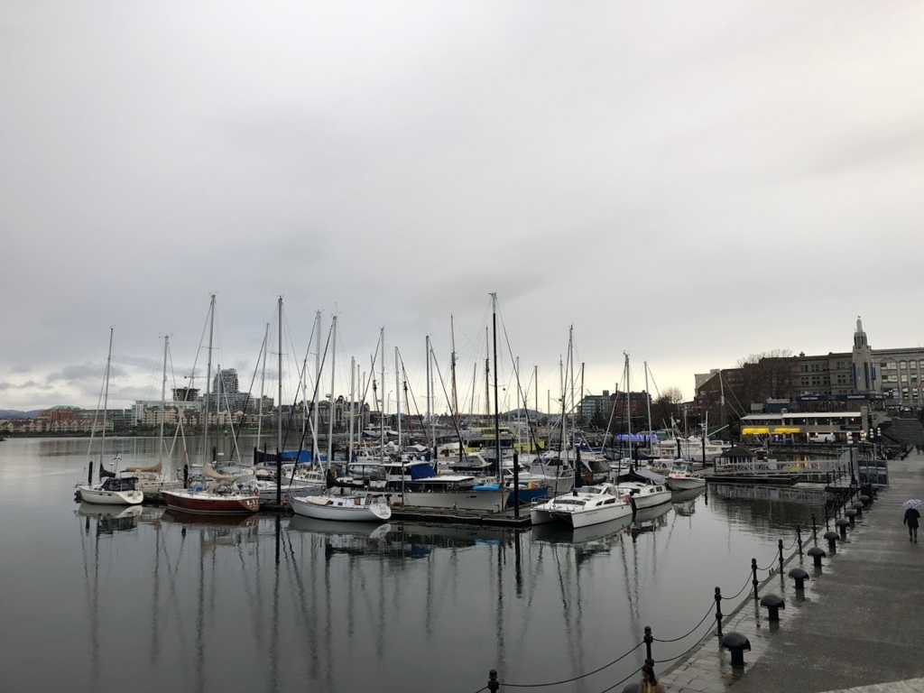 f:id:saotrip:20180303200451j:plain f:id:saotrip:20180303200451j:plain