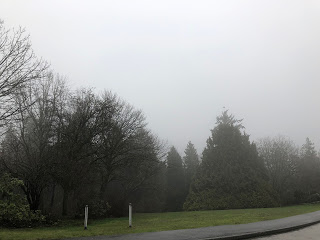 f:id:saotrip:20180305122145j:plain f:id:saotrip:20180305122145j:plain