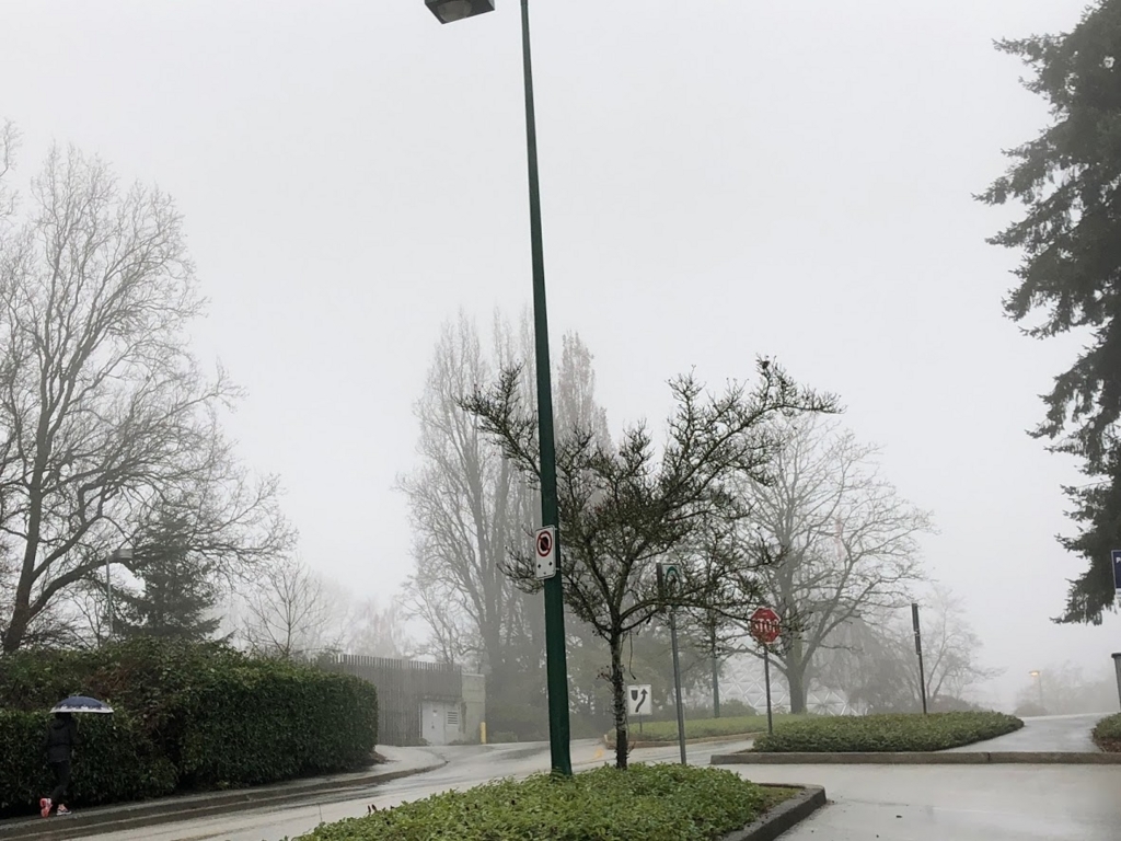 f:id:saotrip:20180305122222j:plain f:id:saotrip:20180305122222j:plain
