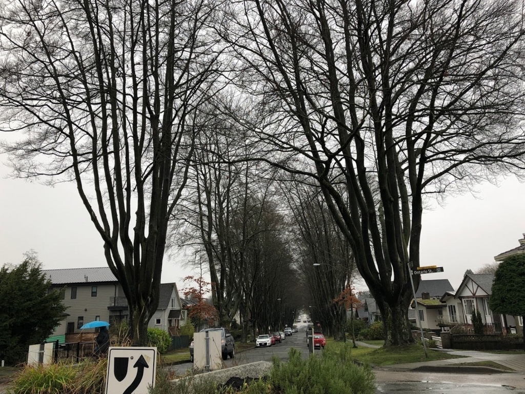 f:id:saotrip:20180305123207j:plain