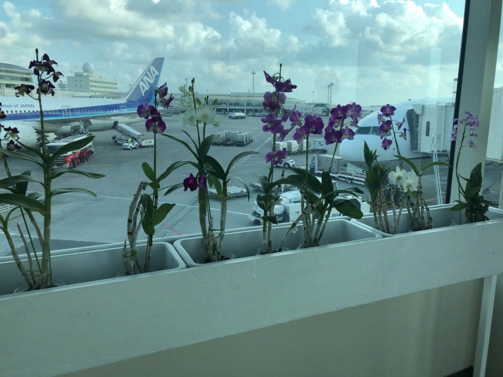 f:id:saotrip:20180401211819j:plain