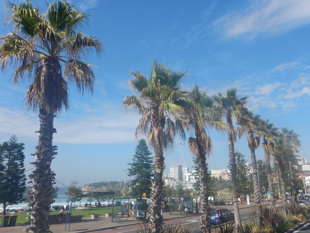 f:id:saotrip:20180408175425j:plain f:id:saotrip:20180408175425j:plain