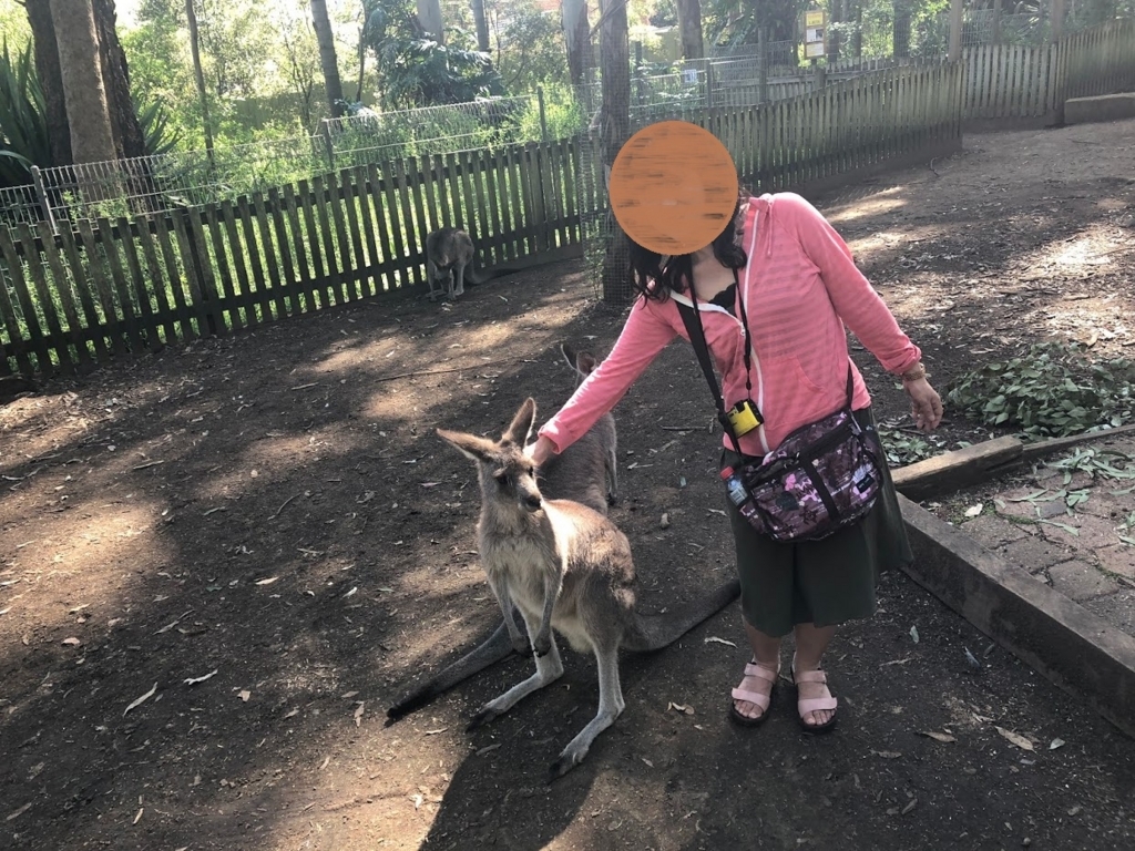 f:id:saotrip:20180411105001j:plain f:id:saotrip:20180411105001j:plain