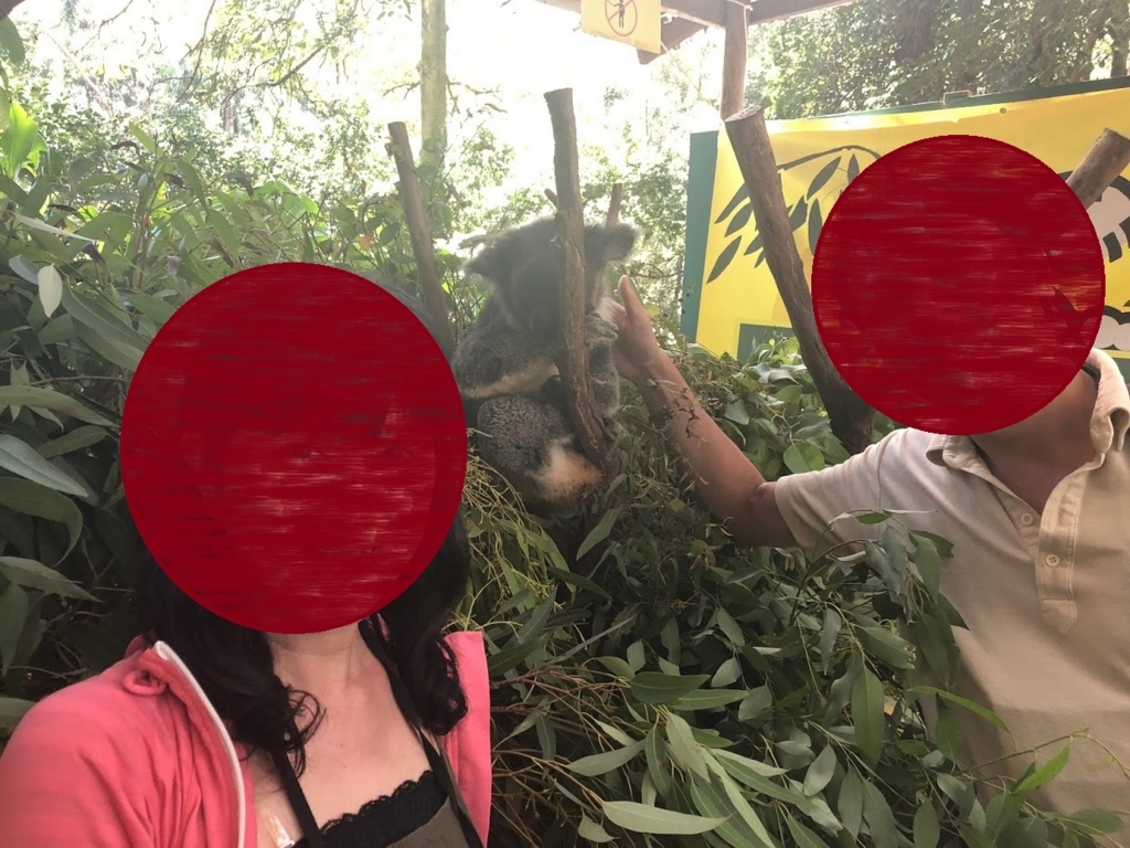 f:id:saotrip:20180411125755j:plain f:id:saotrip:20180411125755j:plain