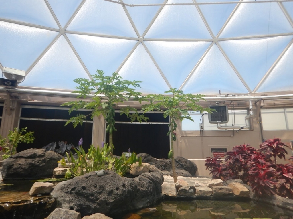 f:id:saotrip:20180615211135j:plain f:id:saotrip:20180615211135j:plain