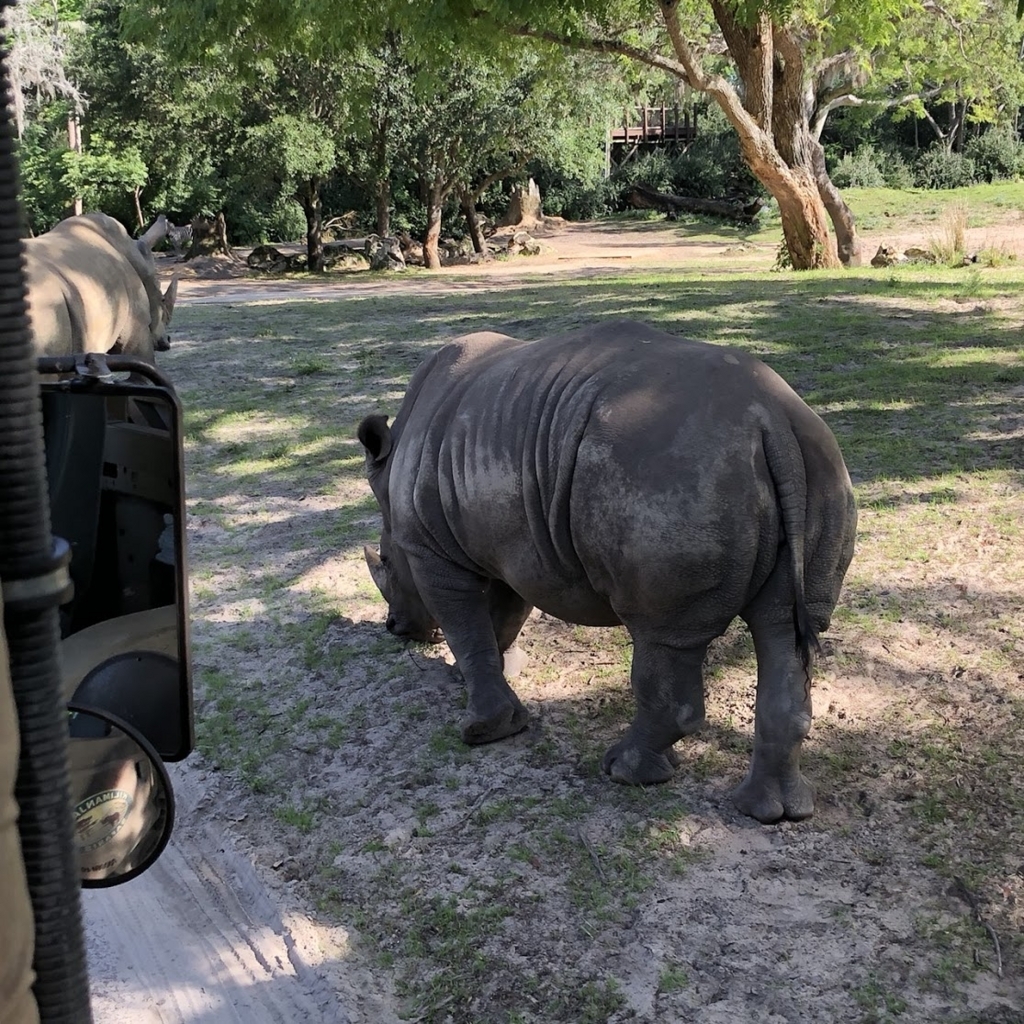 f:id:saotrip:20180621232420j:plain