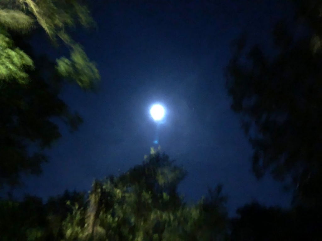 f:id:saotrip:20180712224742j:plain f:id:saotrip:20180712224742j:plain