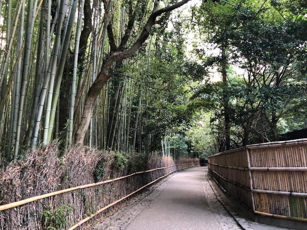 f:id:saotrip:20180830183615j:plain