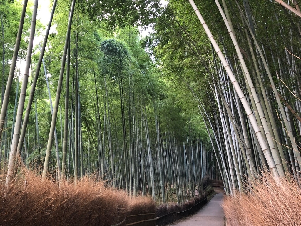 f:id:saotrip:20180830183619j:plain