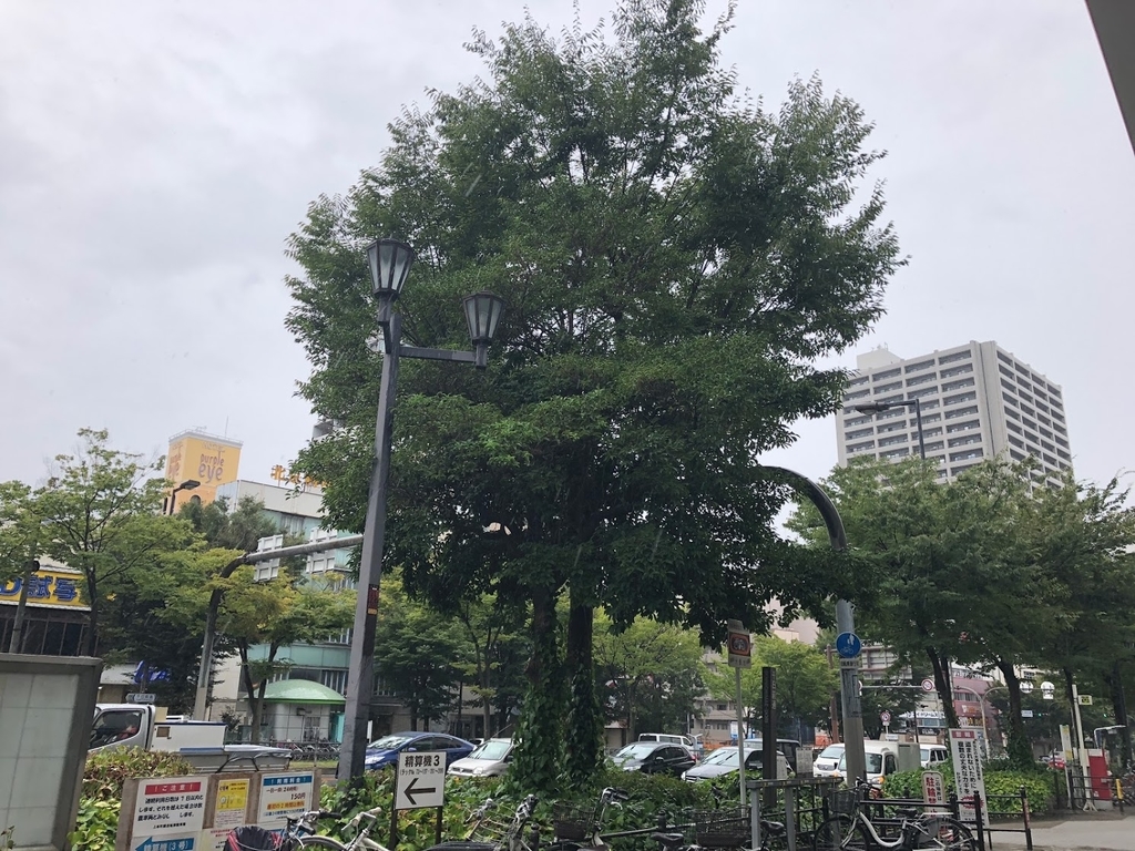 f:id:saotrip:20180916181208j:plain