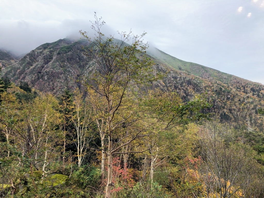 f:id:saotrip:20181003113357j:plain f:id:saotrip:20181003113357j:plain