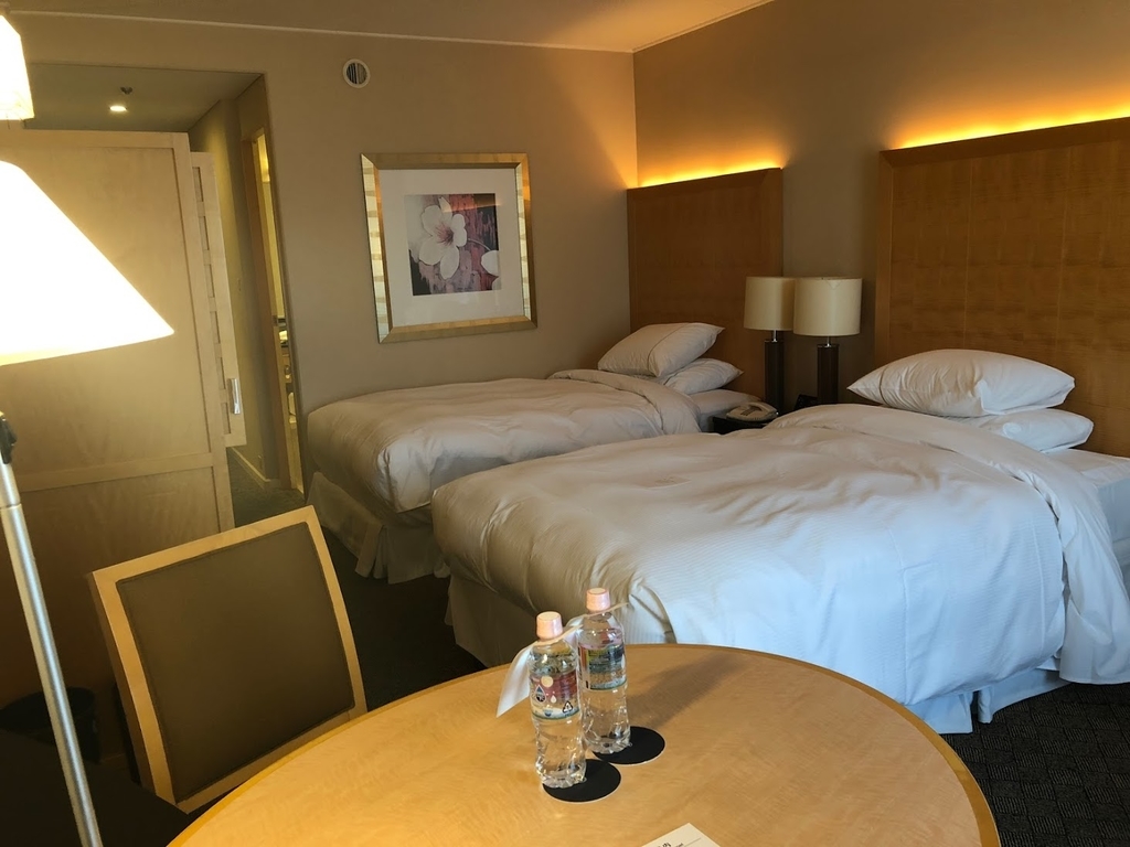 f:id:saotrip:20181114193503j:plain