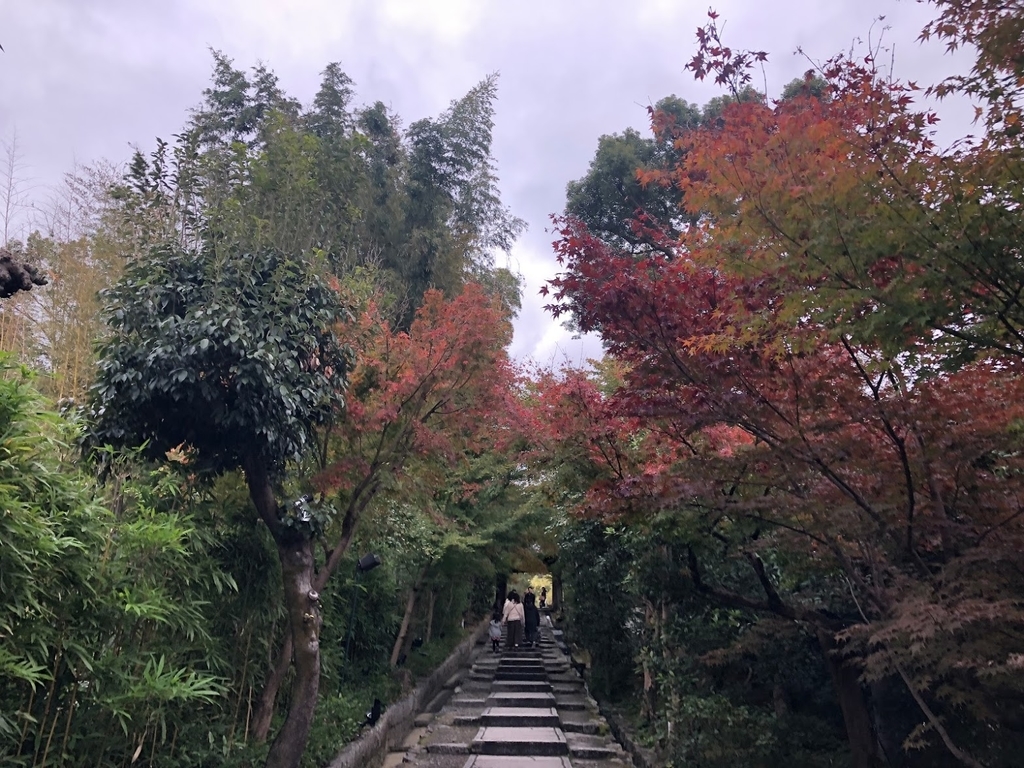 f:id:saotrip:20181119225241j:plain f:id:saotrip:20181119225241j:plain