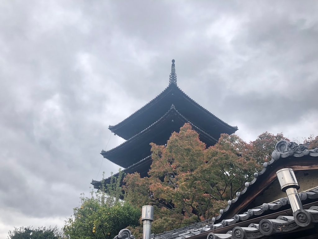 f:id:saotrip:20181119225255j:plain f:id:saotrip:20181119225255j:plain