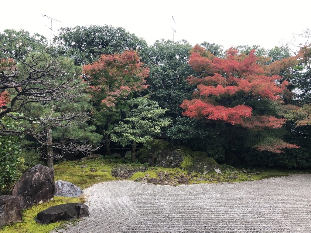 f:id:saotrip:20181119234407j:plain f:id:saotrip:20181119234407j:plain
