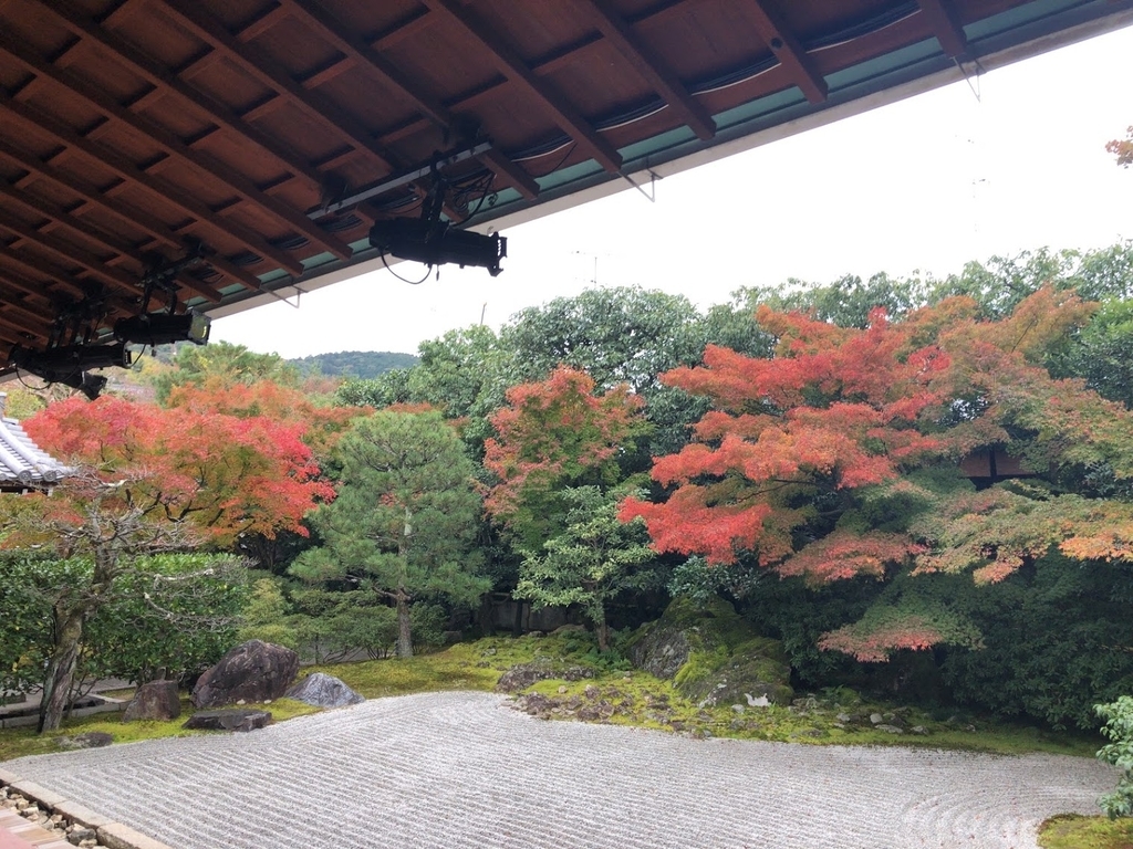 f:id:saotrip:20181119234425j:plain f:id:saotrip:20181119234425j:plain