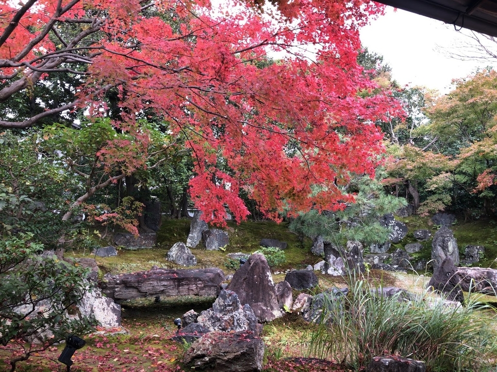 f:id:saotrip:20181119235608j:plain