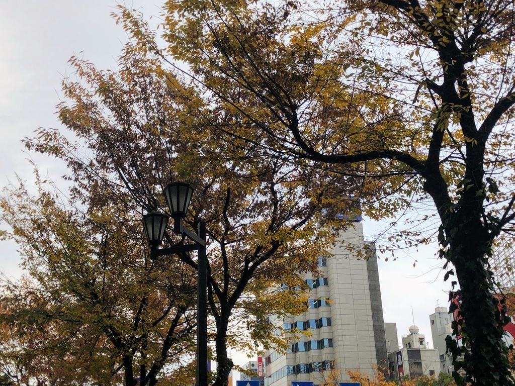 f:id:saotrip:20181201093351j:plain f:id:saotrip:20181201093351j:plain