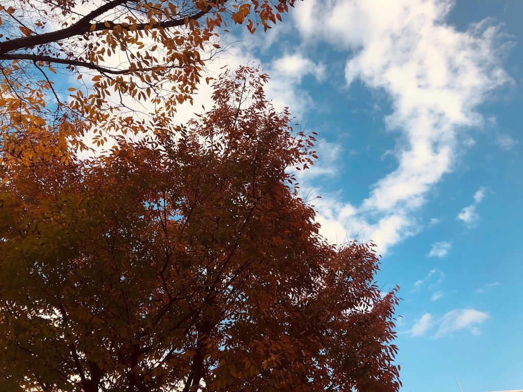 f:id:saotrip:20181201093359j:plain f:id:saotrip:20181201093359j:plain