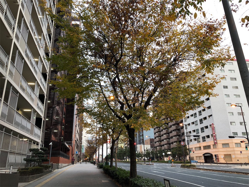 f:id:saotrip:20181209165837j:image