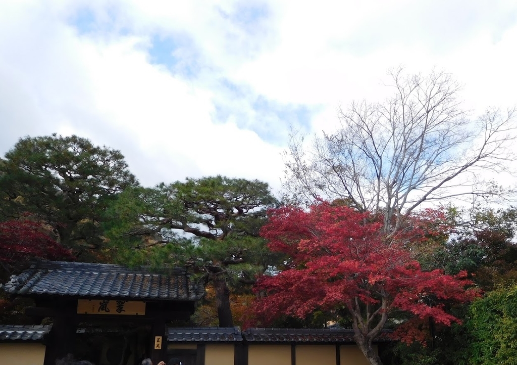 f:id:saotrip:20181217201326j:plain f:id:saotrip:20181217201326j:plain