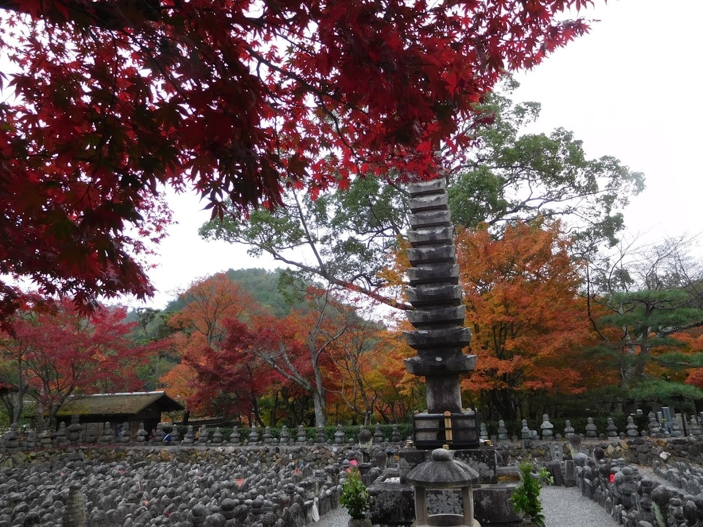 f:id:saotrip:20181217202044j:plain f:id:saotrip:20181217202044j:plain