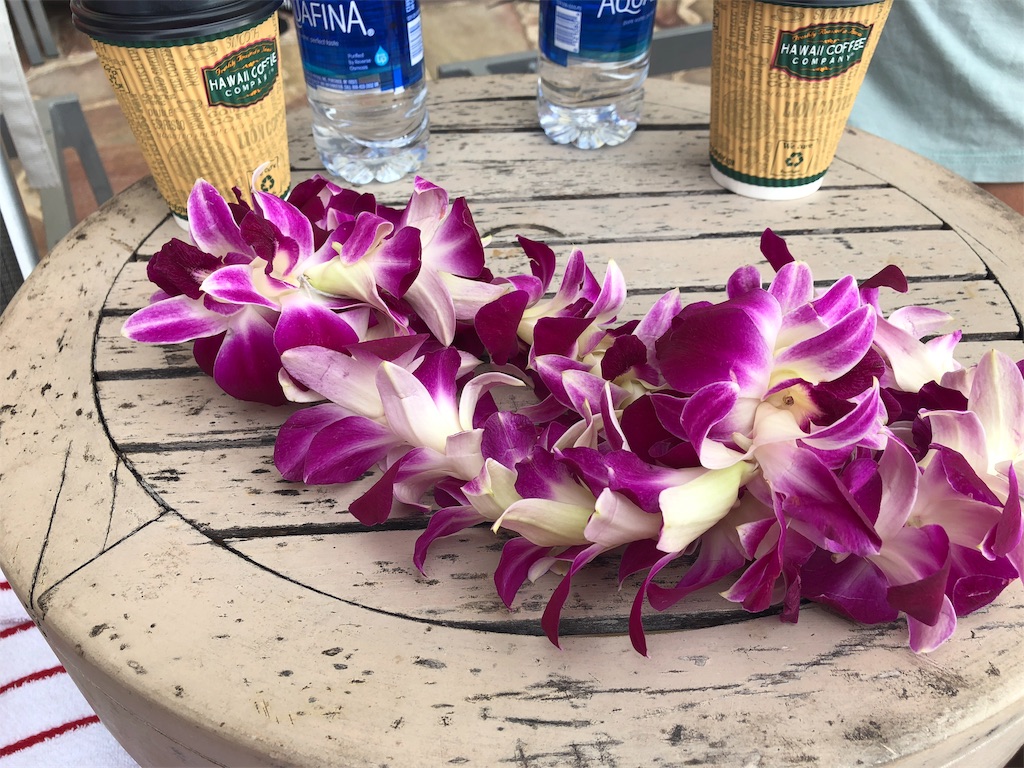 f:id:saotrip:20190118051650j:image f:id:saotrip:20190118051650j:image