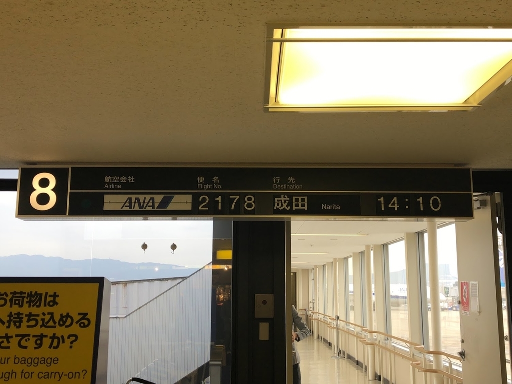 f:id:saotrip:20190201110213j:plain f:id:saotrip:20190201110213j:plain