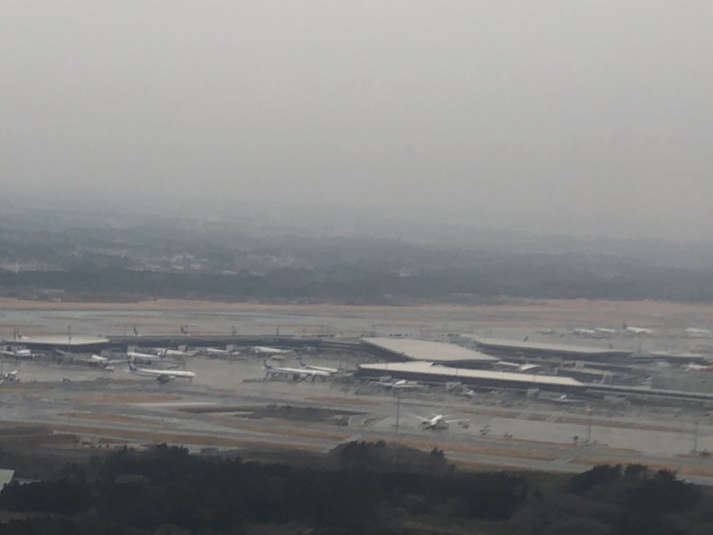 f:id:saotrip:20190201114342j:plain f:id:saotrip:20190201114342j:plain