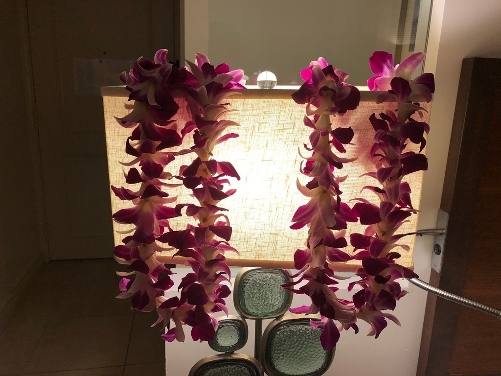 f:id:saotrip:20190204130807j:plain