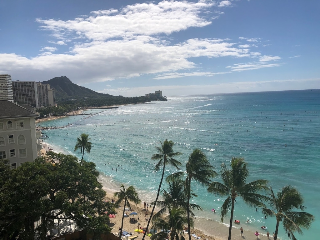 f:id:saotrip:20190204134613j:plain
