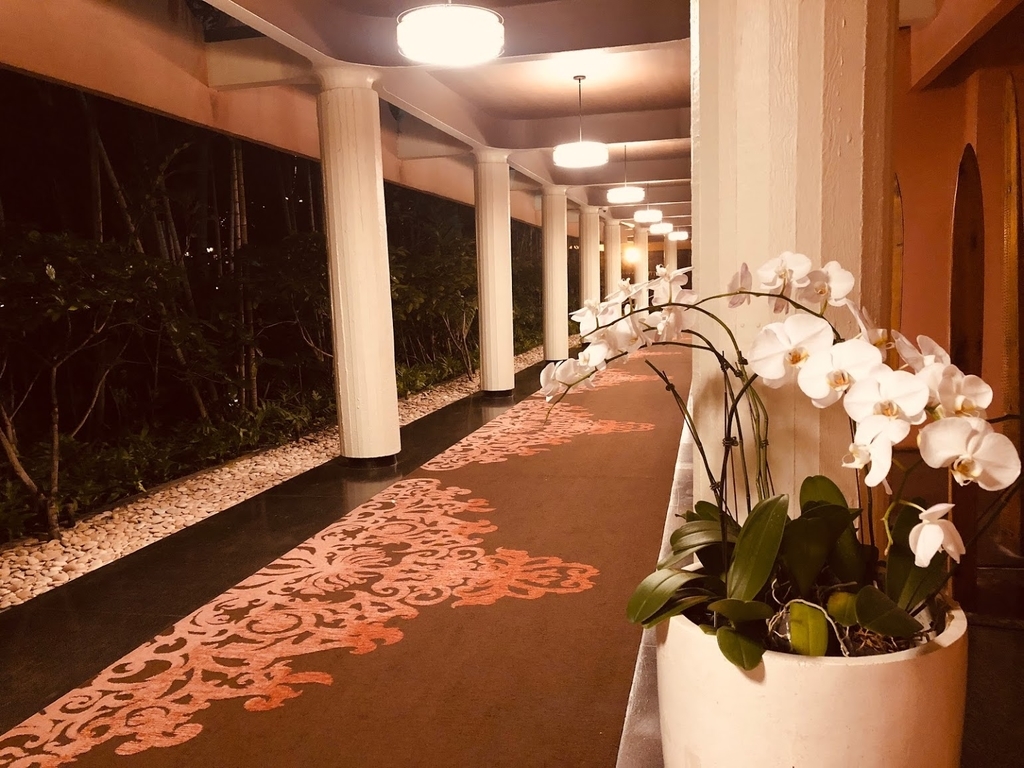f:id:saotrip:20190209092801j:plain f:id:saotrip:20190209092801j:plain