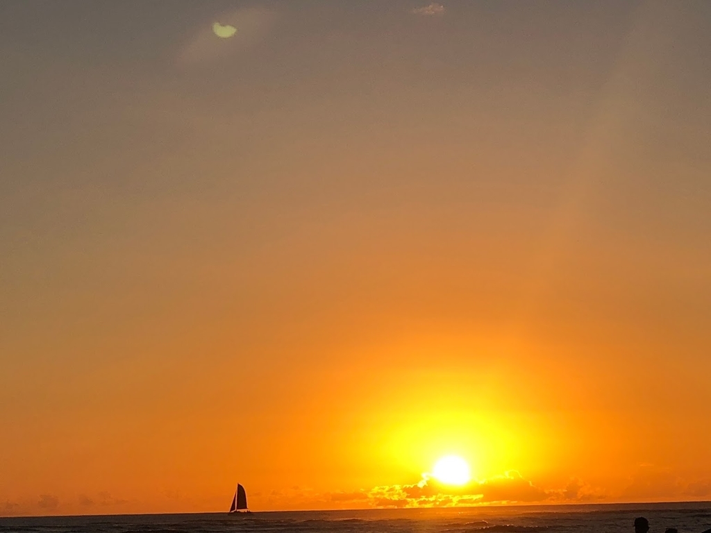 f:id:saotrip:20190209092815j:plain f:id:saotrip:20190209092815j:plain