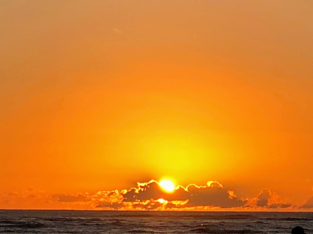 f:id:saotrip:20190209092821j:plain f:id:saotrip:20190209092821j:plain
