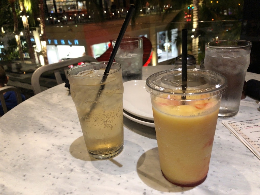 f:id:saotrip:20190209092834j:plain f:id:saotrip:20190209092834j:plain
