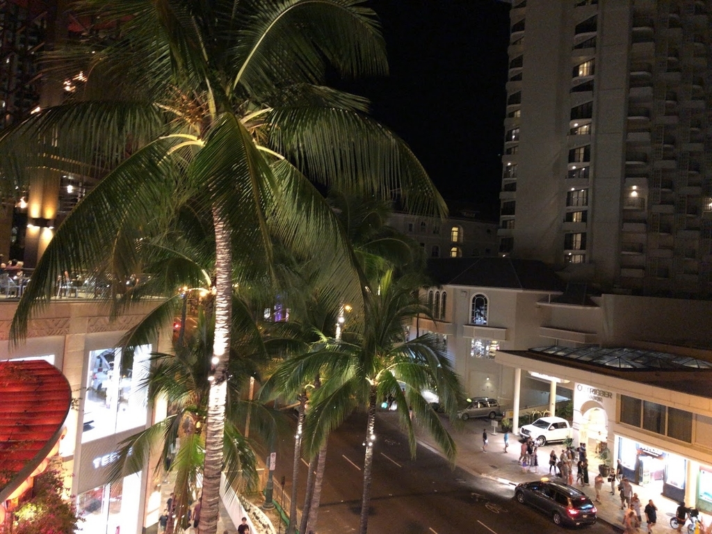 f:id:saotrip:20190209092852j:plain f:id:saotrip:20190209092852j:plain