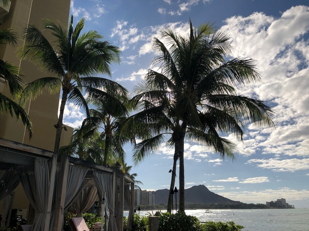 f:id:saotrip:20190217141331j:plain f:id:saotrip:20190217141331j:plain