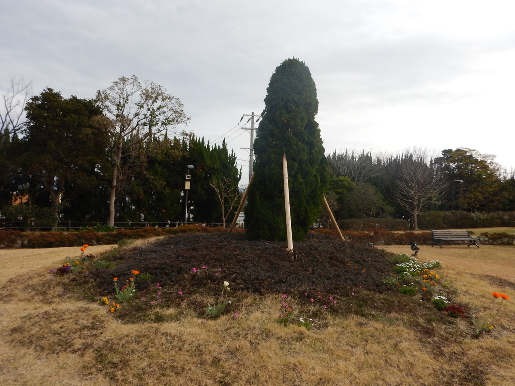 f:id:saotrip:20190311222122j:plain